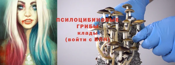 трава Арсеньев